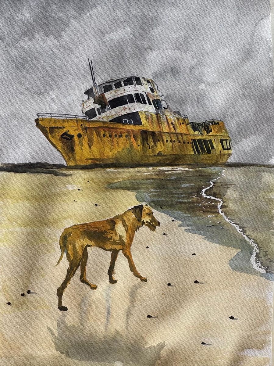 Barco varado y perro