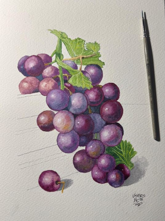 Uvas, watercolour by Nacho Visiers